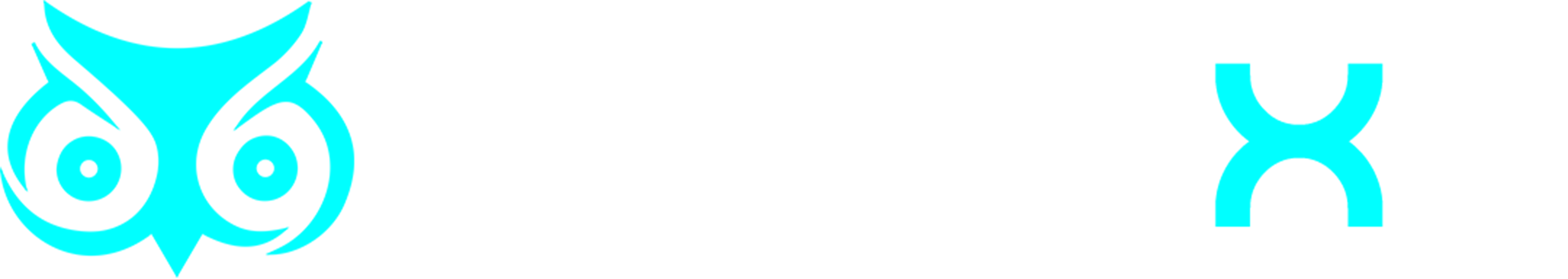 Logo Connexa
